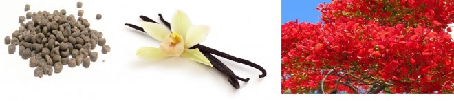 В гостях у амазонки. Чарующий Amazing Paradise от Oriflame