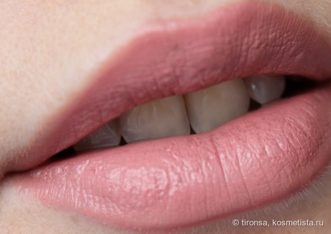 Губная помада Shiseido Perfect Rouge PK 354