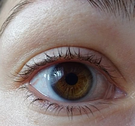 Секрет длинных ресниц: Eveline Cosmetics Sos Lash Booster with Argan Oil