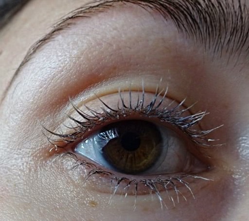 Секрет длинных ресниц: Eveline Cosmetics Sos Lash Booster with Argan Oil