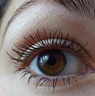 Секрет длинных ресниц: Eveline Cosmetics Sos Lash Booster with Argan Oil