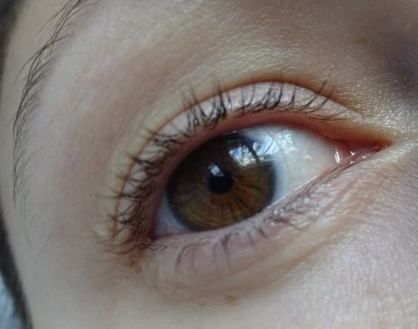 Действительно ли все новое это давно забытое старое? Maybelline NY Great Lash Lots of Lashes