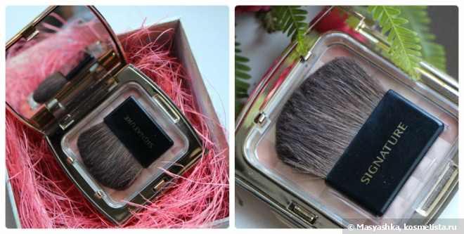 Missha Signature Dramatatic Sheer Finish Powder SPF 20