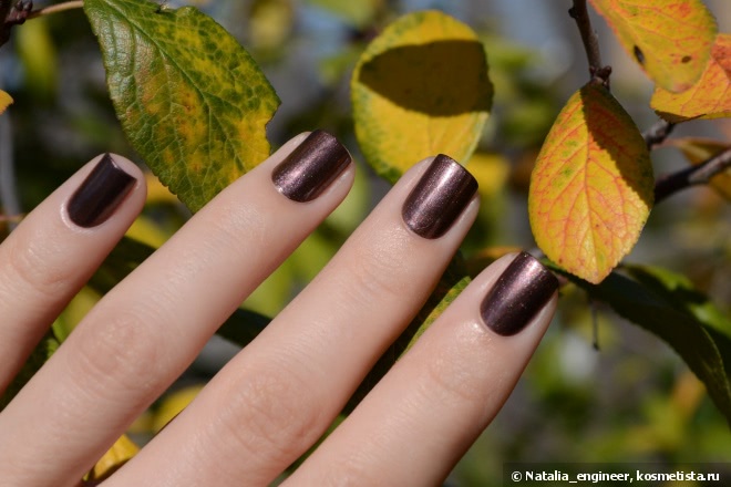 Моя осень с Chanel Terrana #697