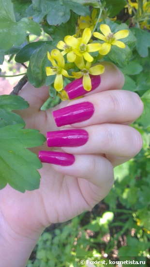Remi Nail Systems №72