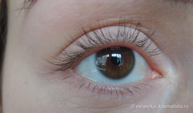 Супер объем или чересчур… Masterpiece Transform Mascara от Max Factor Black