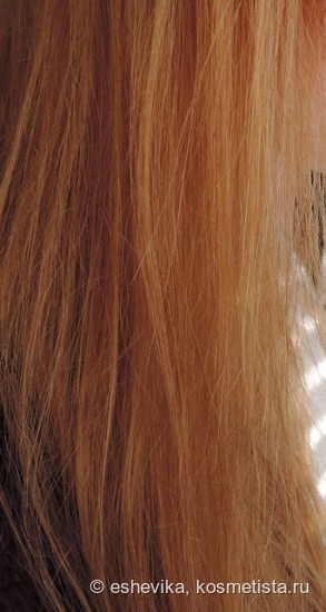Мои спасители волос из серии Extreme от Redken