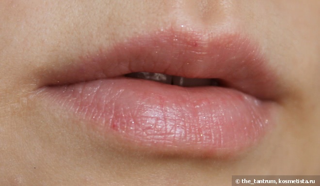 Revlon Laquer Balm Colorbast Crayon #105 Demure