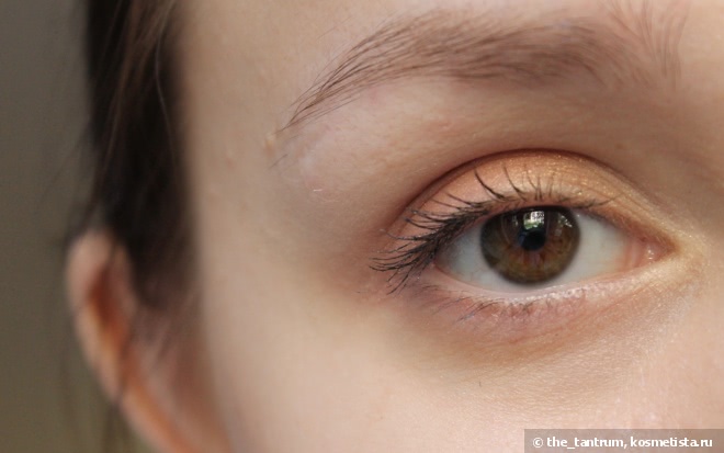 Тени для век Shiseido Luminizing Satin Eye Color Trio RD299 Beach Grass
