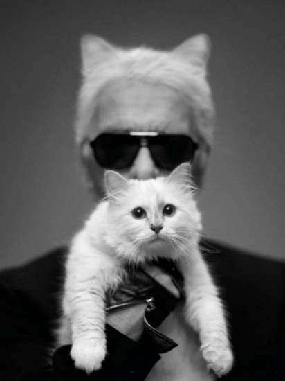Гидрофильное масло Ultime 8 Supreme Beauty Cleansing Oil из Рождественской коллекции Shu Uemura Shupette Holiday 2014 Collection by Karl Lagerfeld