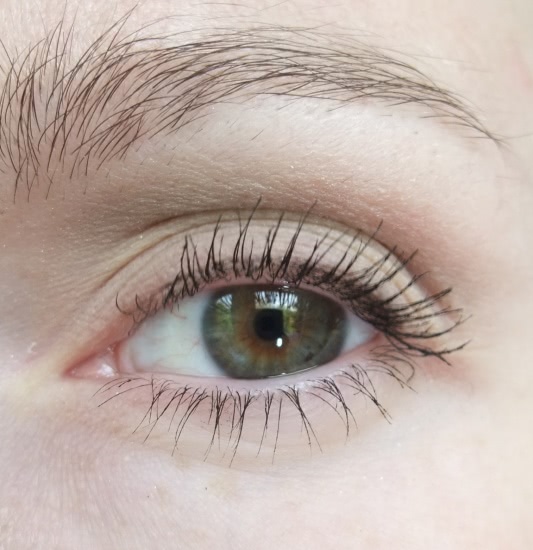 Любительницам нюда - Revlon Colorstay 16 Hour Eye Shadow Quad № 500 Addictive
