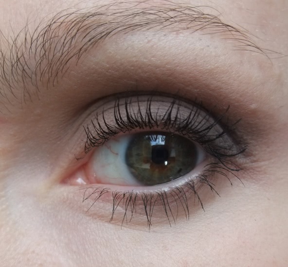 Urban Decay Naked 2 Basics Eyeshadow Palette