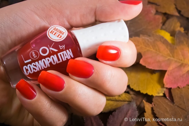 Зябнут берёзы, стынут осины. Только горят на морозе рябины! Naillook by Cosmopolitan