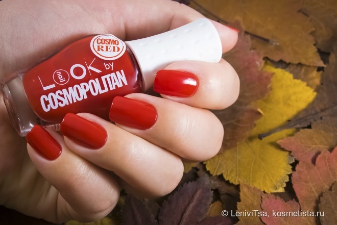 Зябнут берёзы, стынут осины. Только горят на морозе рябины! Naillook by Cosmopolitan
