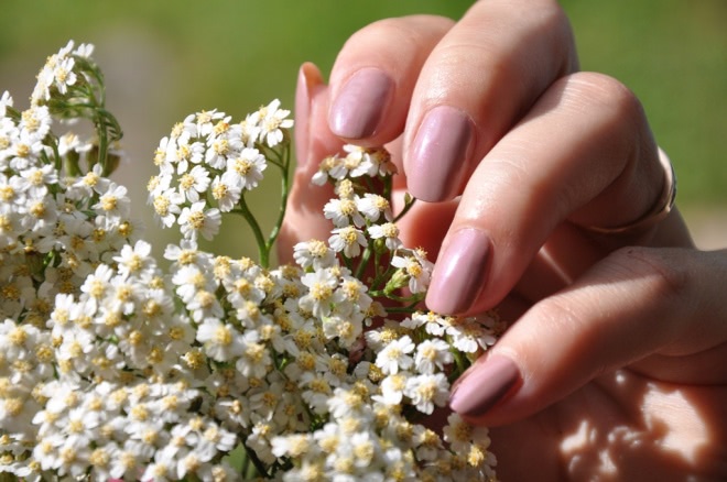 Essie Nail Polish #40 Demure vix, #14 Fiji
