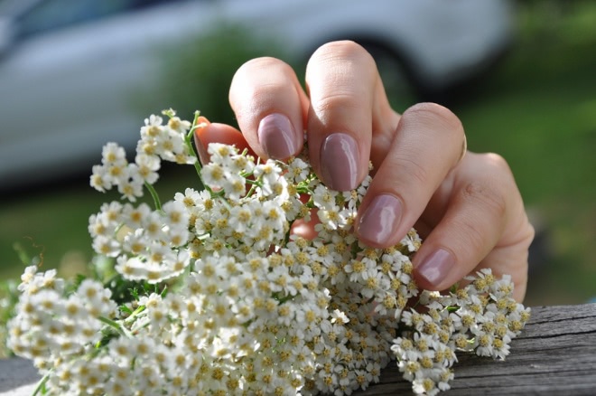 Essie Nail Polish #40 Demure vix, #14 Fiji