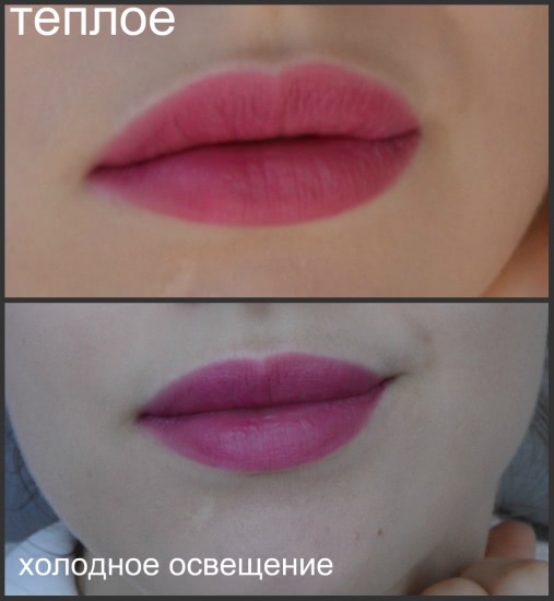 Любимые матовые жидкие помады NYX Soft Matte Lip Cream в оттенке Prague и Monte-Carlo