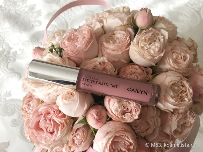 Жидкая матовая помада Cailyn Pure Lust Extreme Matte Tint в оттенке 31 Hospitable