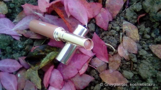 Мой однозначный любимец - Clarins Instant Light Lip Balm Perfector в оттенке 06 Rosewood