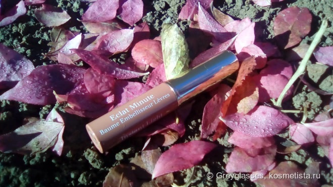 Мой однозначный любимец - Clarins Instant Light Lip Balm Perfector в оттенке 06 Rosewood