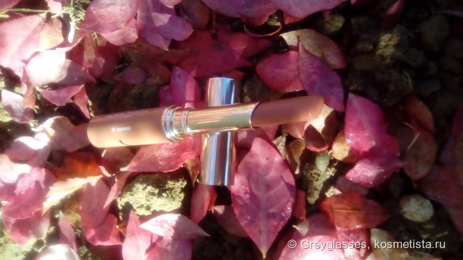 Мой однозначный любимец - Clarins Instant Light Lip Balm Perfector в оттенке 06 Rosewood