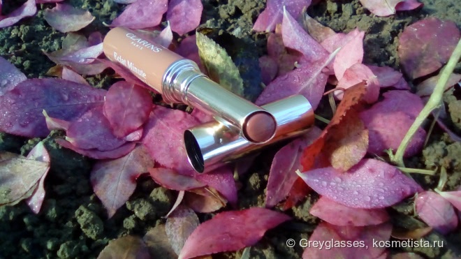 Мой однозначный любимец - Clarins Instant Light Lip Balm Perfector в оттенке 06 Rosewood