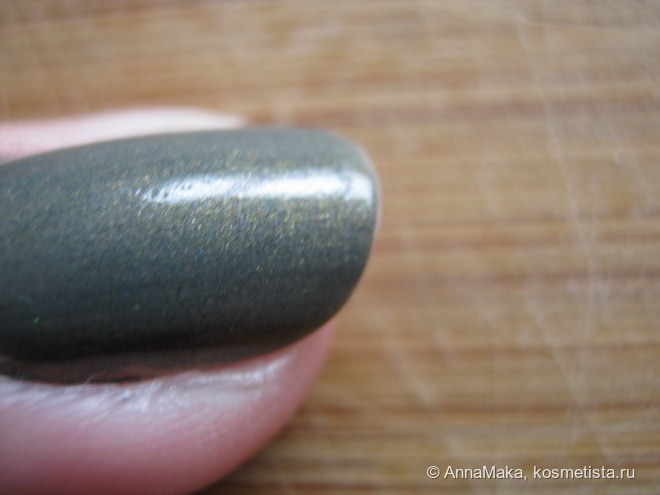 Любимый осенний лак. Smart Girl Nail Polish 218