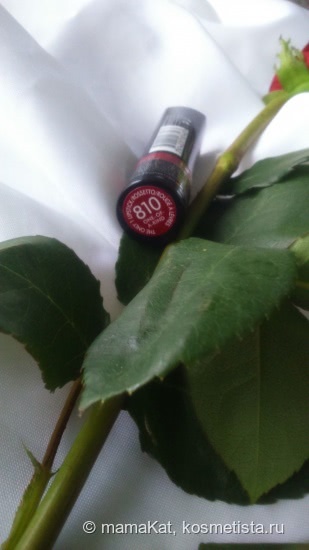 Губная помада Rimmel The Only 1 lipstick # 810 One of a Kind