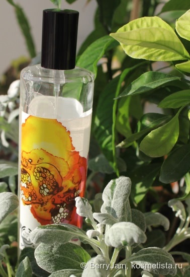Лучик тепла и нежности у Вас дома, спрей The Body Shop Гранат и малина/ Pomegranate&Raspberry