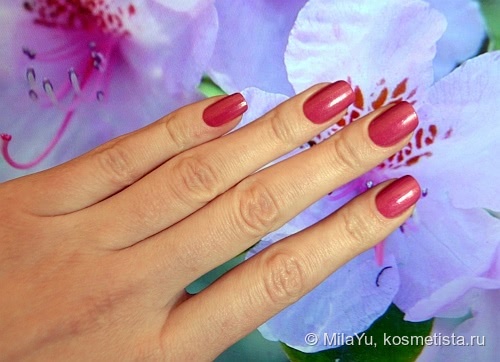 Step in Style Color #26