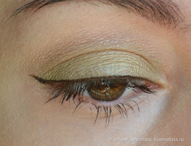 Весенняя зелень: тени Dior Diorshow Mono Professional Eye Shadow Spectacular Effects & Long Wear в оттенке #480 Nature