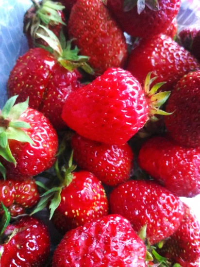 Сладкая земляника Yves Rocher Les Plaisirs Nature Strawberry Eau De Toilette