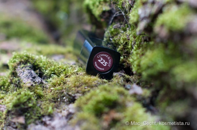 L’Etoile Selection Comme Il Faut L'Etoile Lipstick коллекция «Царство 3/9» в оттенке #225 Королевна