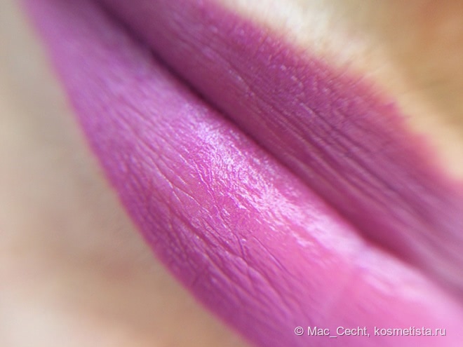 Max Factor Lipfinity Long Lasting Lipstick в оттенке 55 Eternally Luscious