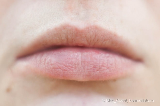 Max Factor Lipfinity Long Lasting Lipstick в оттенке 55 Eternally Luscious