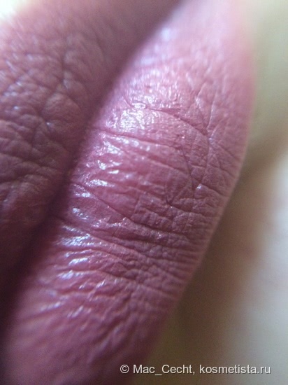 Помада Shiseido Perfect Rouge в оттенке Рк354 (миниатюра)