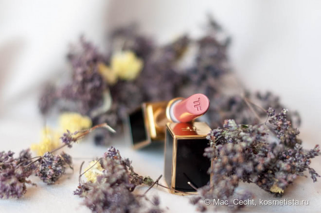 Эталонный нюд Tom Ford Lip Color Lips & Boys #46 Collin