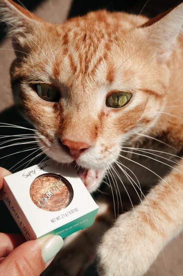 Тени Colourpop Supershock Eyeshadows