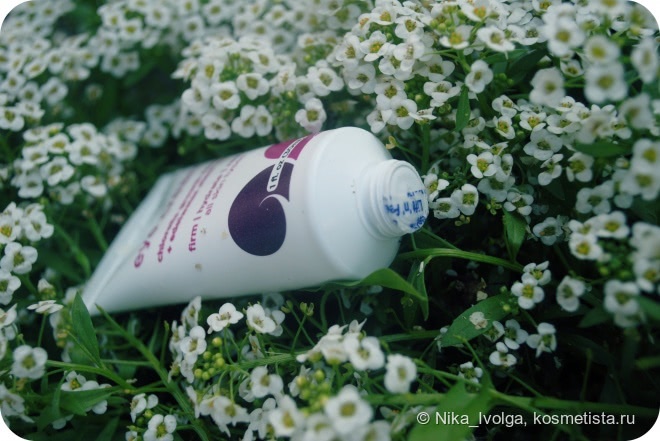 Acure Organics: Chlorella Growth Factor + Edelweiss Stem Cell Eye Cream