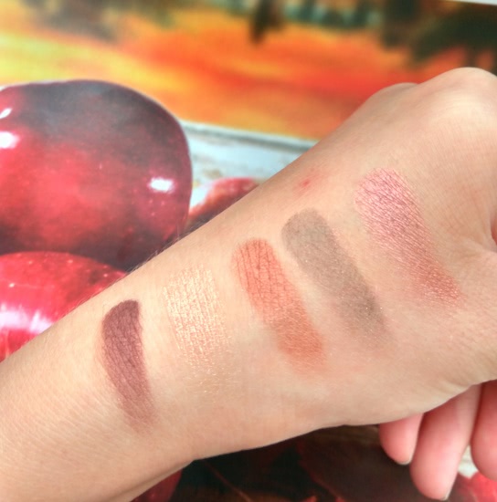 Осень… И снова MAC Eye Shadow Burgundy Times Nine