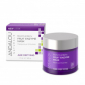 Очищающая маска Andalou Naturals BioActive Berry Fruit Enzyme Mask