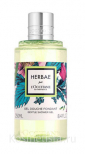 Гель для душа L'Occitane Herbae Gentle Shower Gel