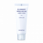 Увлажняющий крем innisfree Blueberry Rebalancing Cream