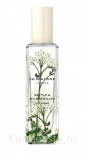 Цветочный аромат Jo Malone London Nettle & Wild Achillea Cologne