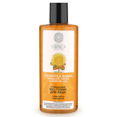 Очищающая вода, лосьон, тоник Natura Siberica Rhodiola Rosea Absolute Youth Cleansing Tonic