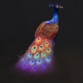 Палитра «Степенный королевский павлин» Sigil Inspired Tammy Tanuka