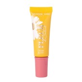 Кремовые румяна Vivienne Sabo Fleur Du Soleil Cream Blush