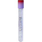 Блеск для губ Influence Beauty Ekso Natural