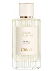 Цветочный аромат Chloe Herba Mimosa EDP