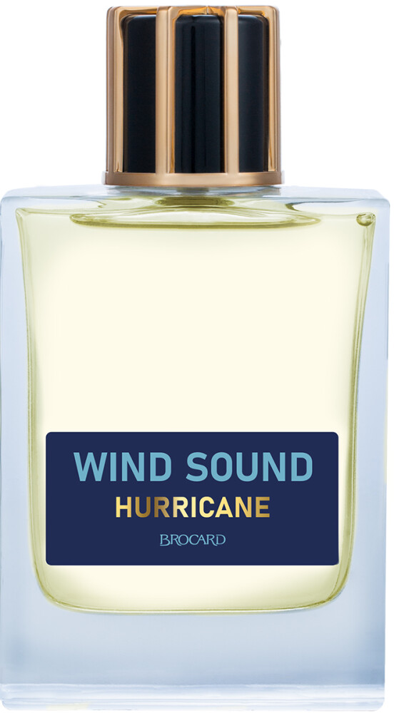 Смешанные ароматы Brocard Wind Sound Hurricane EDT